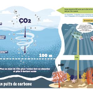 Réalisation de la mise en page et de l'illustration bd. Schéma d'Anatole Donarier . Textes de Dominique Cronier